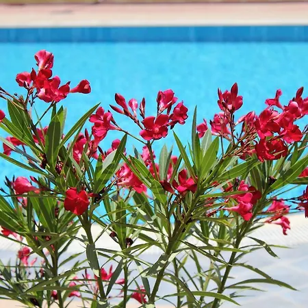 Apartamento Aqua 21 *